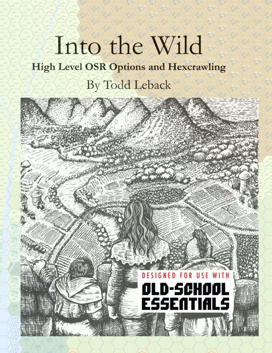 Książka Into the Wild 