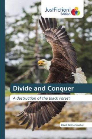 Könyv Divide and Conquer David Kafina Sinatue