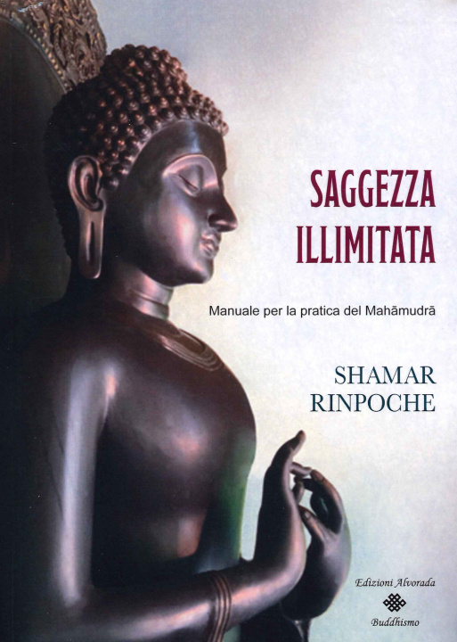 Carte Saggezza illimitata. Manuale per la pratica del Mahàmudrà Shamar (Rinpoche)