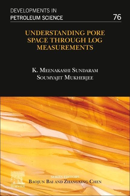 Kniha Understanding Pore Space through Log Measurements K. Meenakashi Sundaram