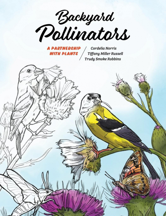 Knjiga Backyard Pollinators Tiffany Miller Russell