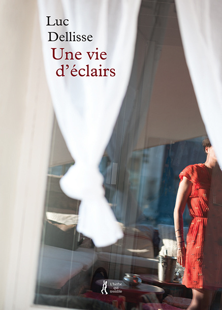 Boek Une vie d'éclairs Dellisse