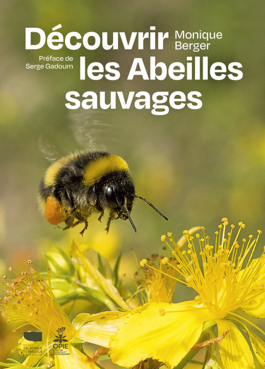 Könyv Découvrir les abeilles sauvages Monique Berger