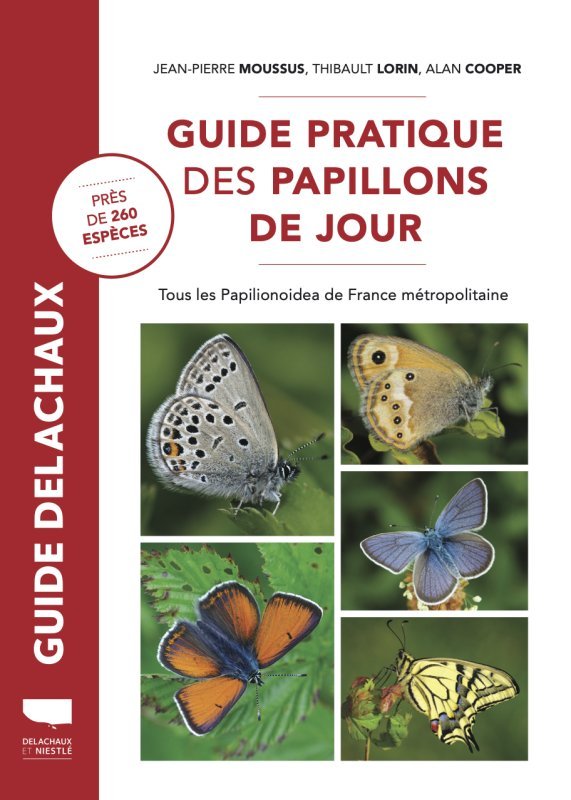 Kniha Guide pratique des papillons de jour Alan Cooper