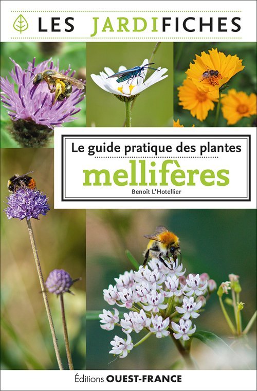 Kniha Le guide pratique des plantes mellifères Benoit L'HOTELLIER