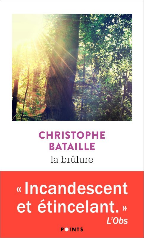 Knjiga La Brûlure Christophe Bataille