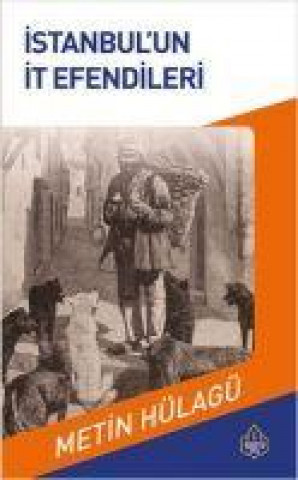Книга Istanbulun It Efendileri 