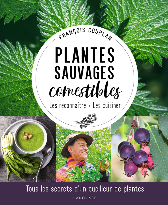 Carte Plantes sauvages comestibles François Couplan