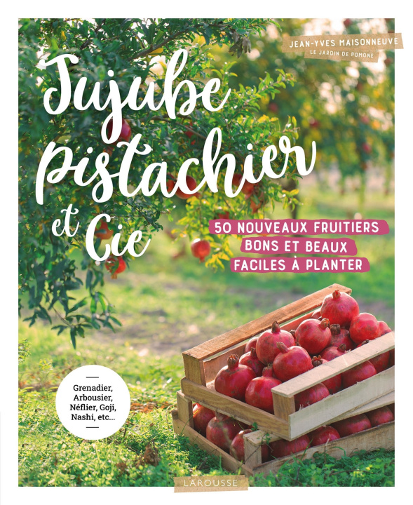 Könyv Jujube pistachier et Cie Jean-Yves Maisonneuve