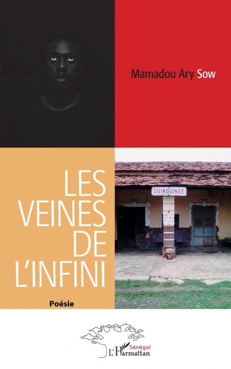 Книга Les veines de l'infini Sow