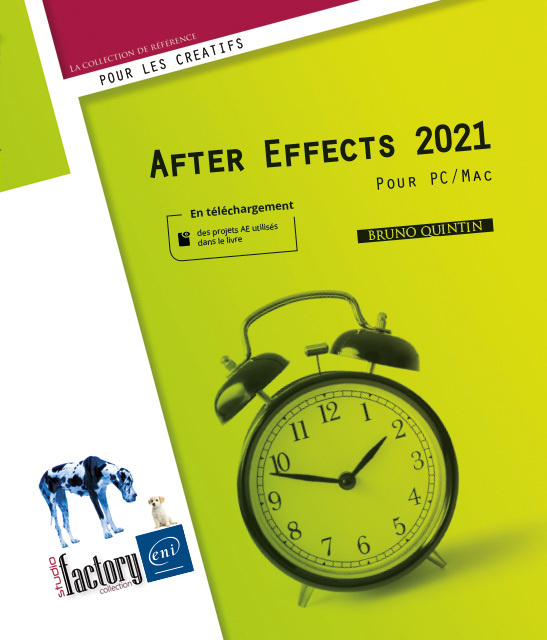 Книга AFTER EFFECTS (VERSIONS 2021 ET 2022) - POUR PC/MAC Bruno QUINTIN