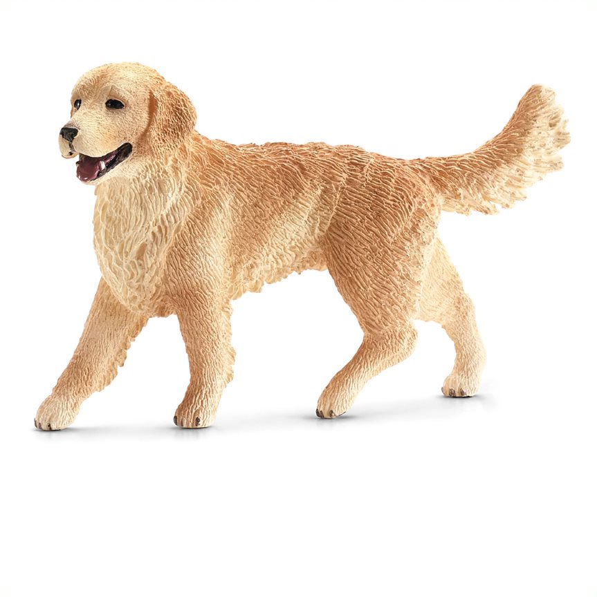 Knjiga Golden Retriever suczka SLH16395 