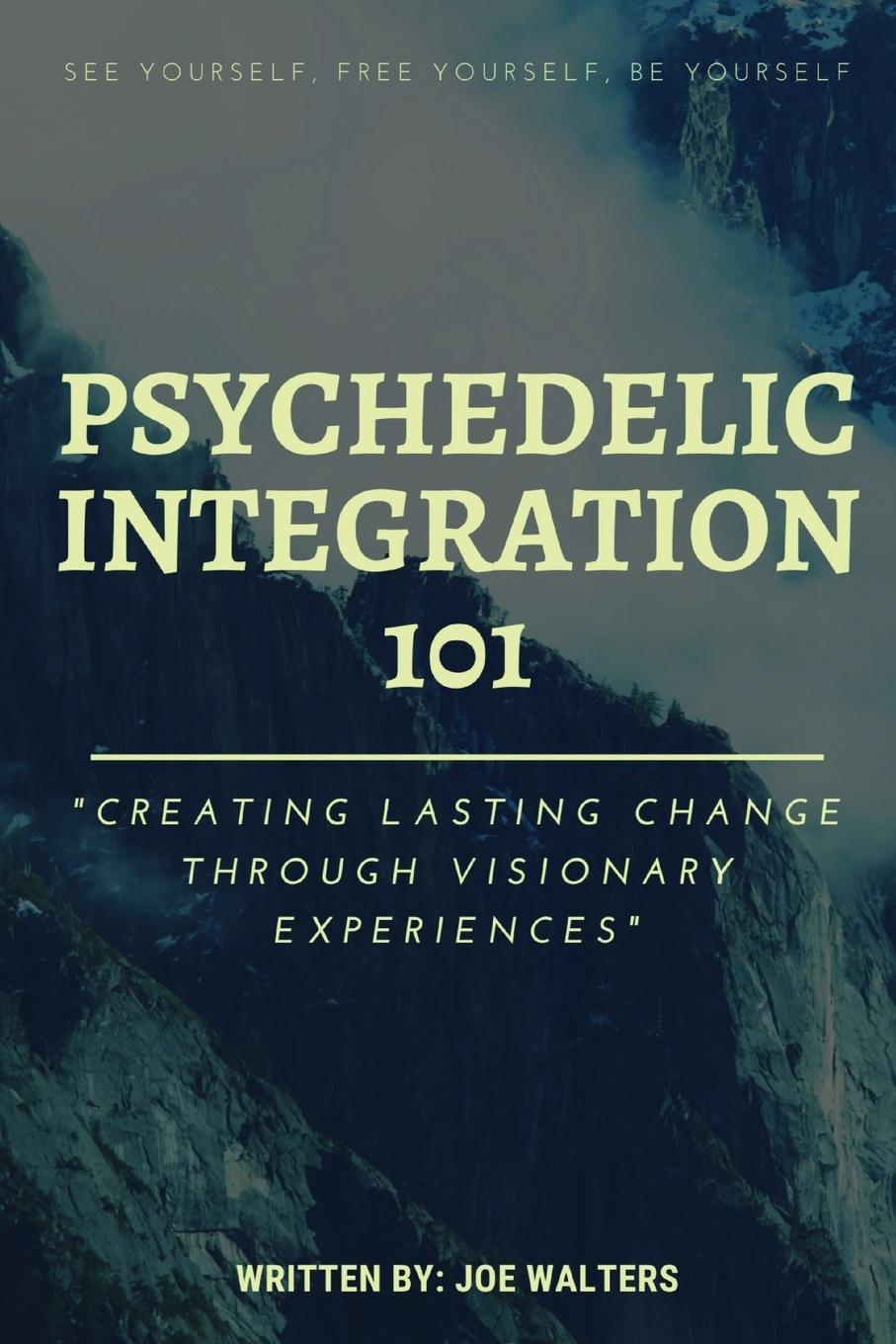 Książka Psychedelic Integration 101 