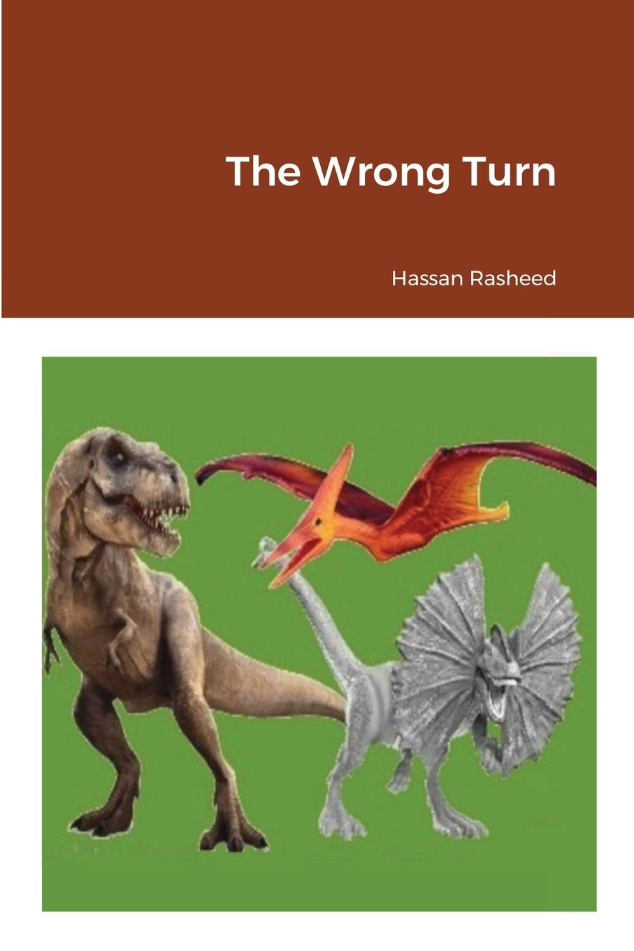 Kniha Wrong Turn Hassan Rasheed