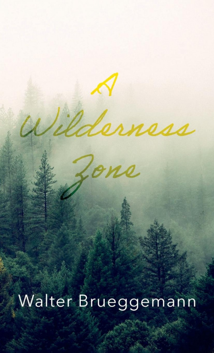 Knjiga Wilderness Zone Walter Brueggemann