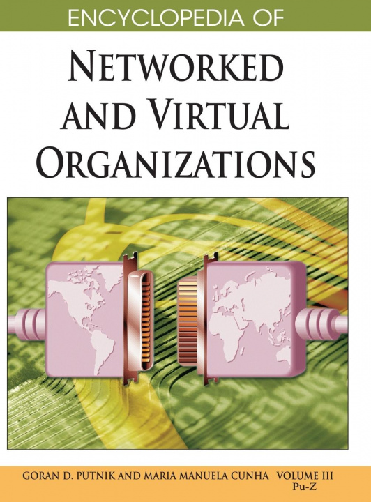 Carte Encyclopedia of Networked and Virtual Organizations (Volume 3) 