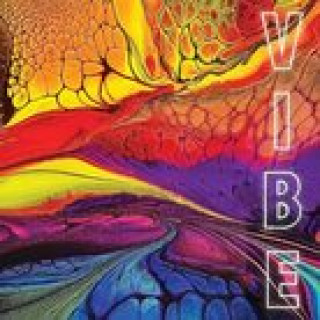 Buch VIBE Heather Prince