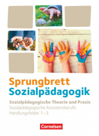 Kniha Sprungbrett Sozialpädagogik. Handlungsfeld 1-5: Sozialpädagogische Theorie und Praxis - Schülerbuch Katrin Diekert