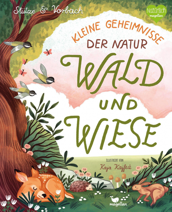 Kniha Kleine Geheimnisse der Natur - Wald und Wiese Kaja Kajfez