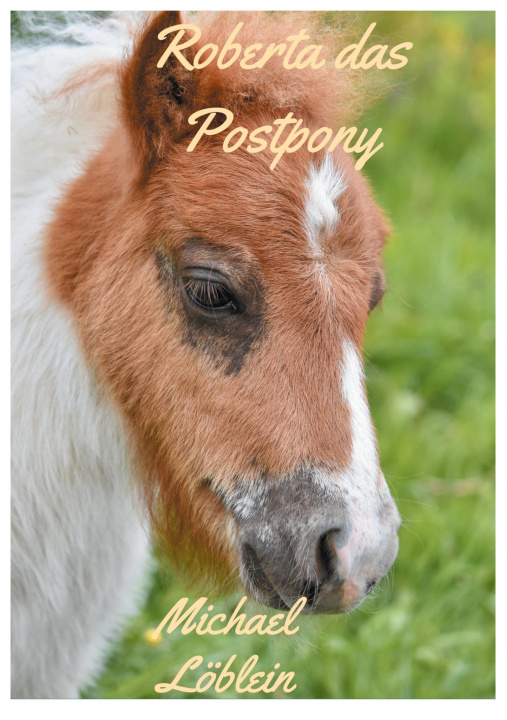 Kniha Roberta das Postpony Michael Löblein