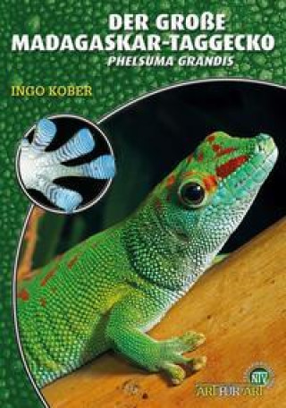 Книга Der Große Madagaskar-Taggecko 