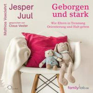 Audio Geborgen und stark Mathias Voelchert