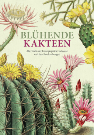 Книга Blühende Kakteen Toni Gürke