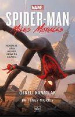 Livre Spider-man Öfkeli Kanatla 