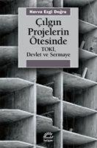 Knjiga Cilgin Projelerin Ötesinde 