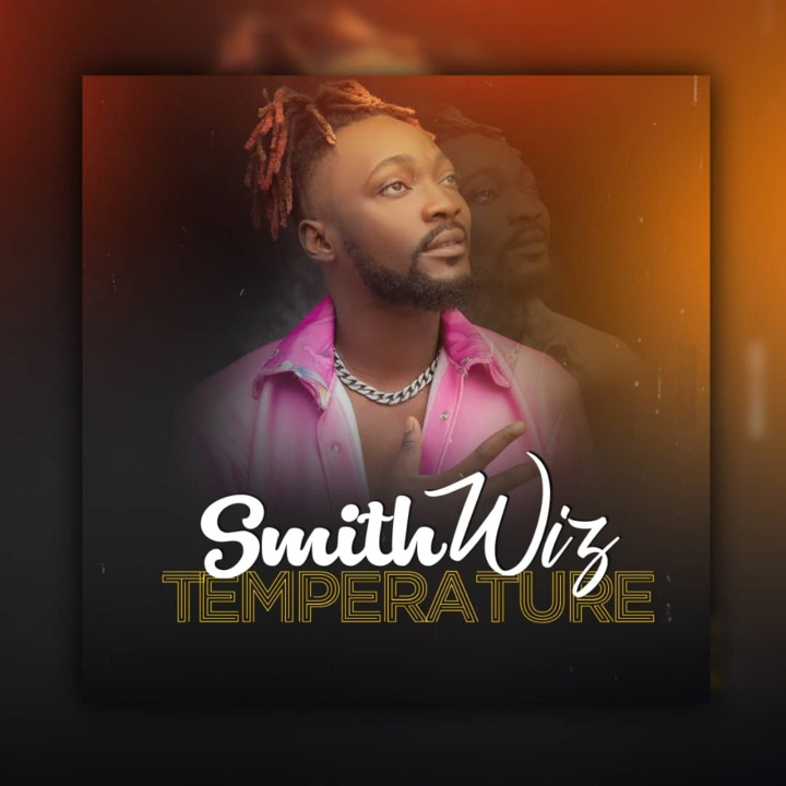 Zvok TEMPERATURE WIZ