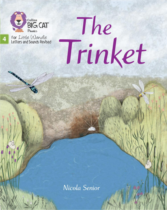 Boek Trinket Nicola Senior