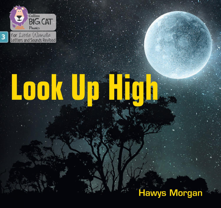Libro Look Up High Hawys Morgan