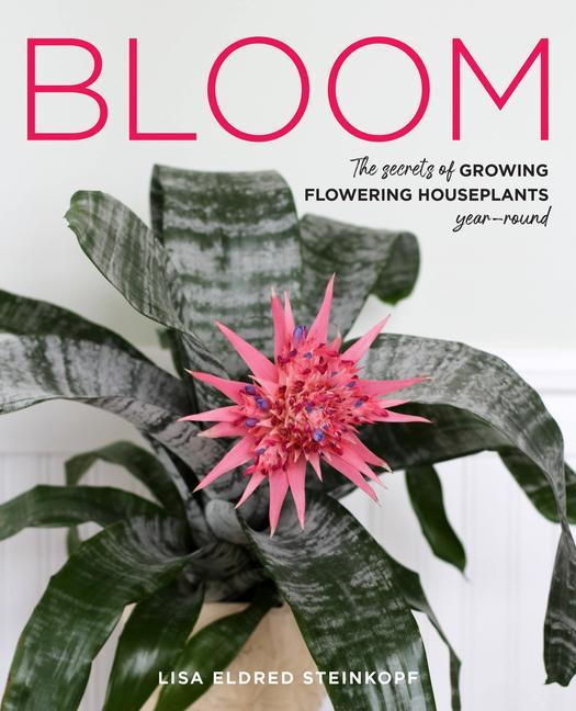 Livro Bloom LISA ELDRED   STEINK