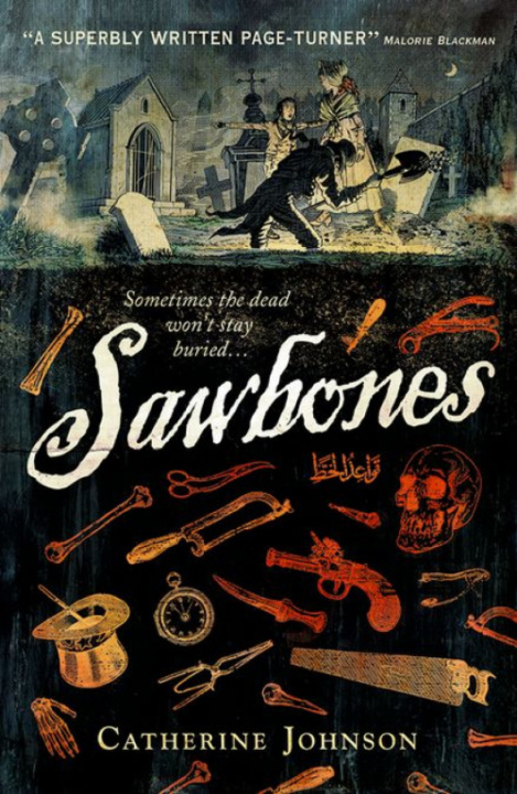 Knjiga Rollercoasters: Sawbones Catherine Johnson