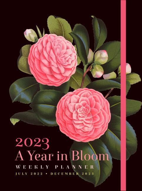 Książka Year in Bloom 2023 Weekly Planner EDITORS OF ROCK POIN