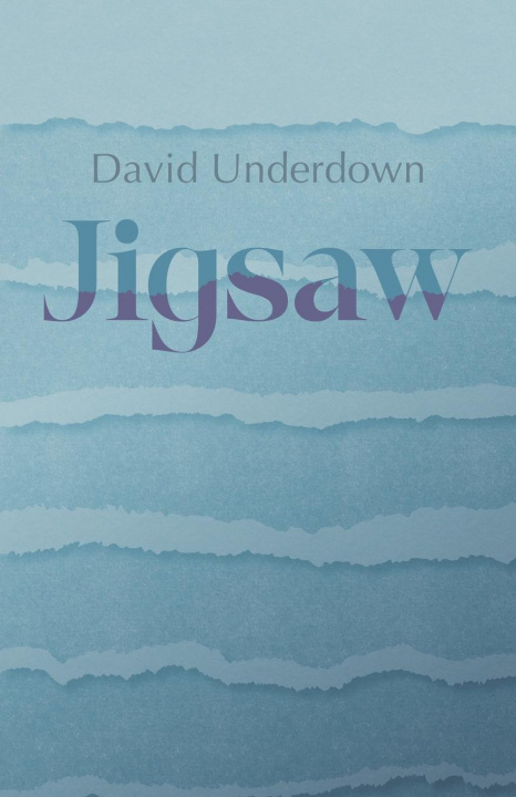 Knjiga Jigsaw David Underdown