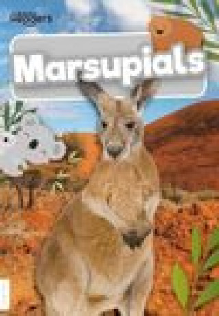 Book Marsupials Madeline Tyler