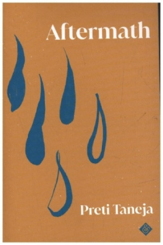 Book Aftermath Preti Taneja