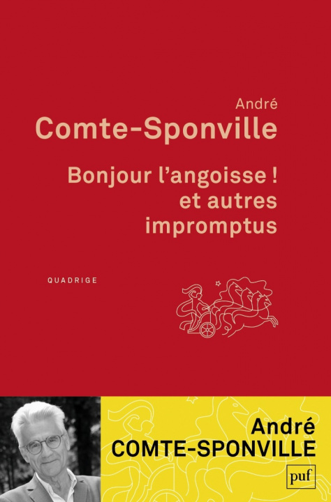 Könyv Bonjour l'angoisse ! et autres impromptus Comte-Sponville