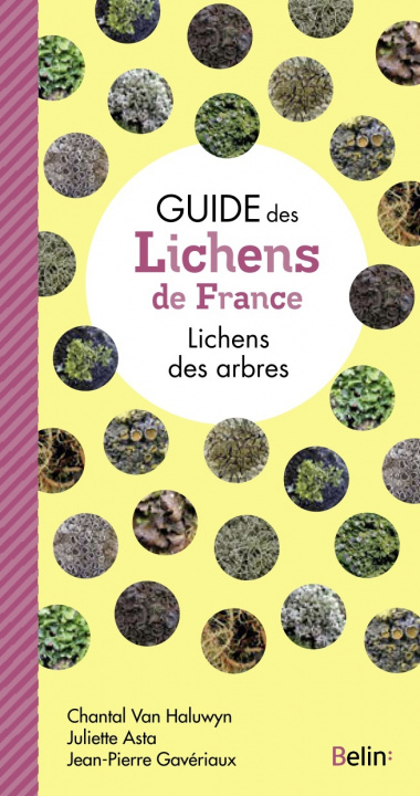 Kniha Guide des lichens de France Gaveriaux