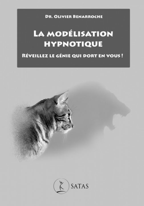 Knjiga La modelisation hypnotique BENARROCHE O.
