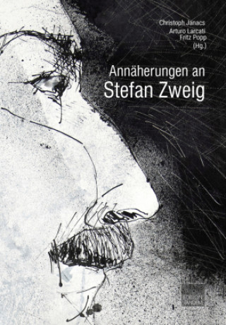 Buch Annäherungen an Stefan Zweig Arturo Larcati