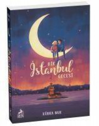 Kniha Bir Istanbul Gecesi 