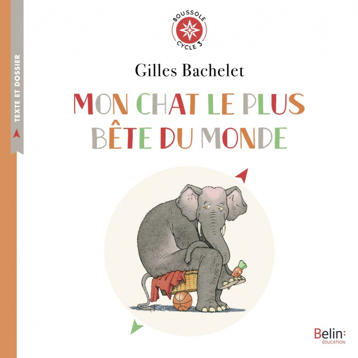 Βιβλίο Mon chat le plus bête du monde Bordeneuve
