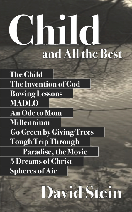 Boek Child and All the Best Stein David Stein