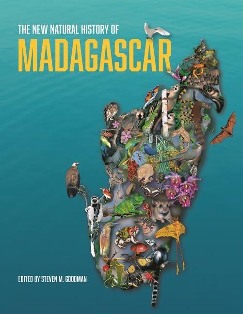 Könyv New Natural History of Madagascar Steven M. Goodman