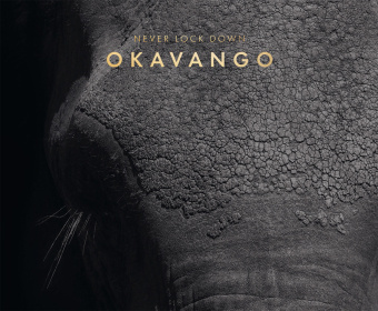 Книга Never lock down Okavango 