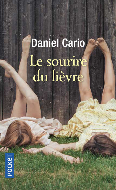 Könyv Le Sourire du lièvre Daniel Cario