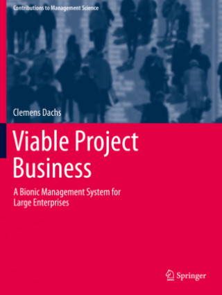 Buch Viable Project Business Dachs