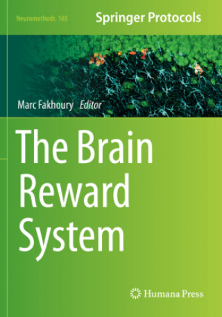 Kniha The Brain Reward System 